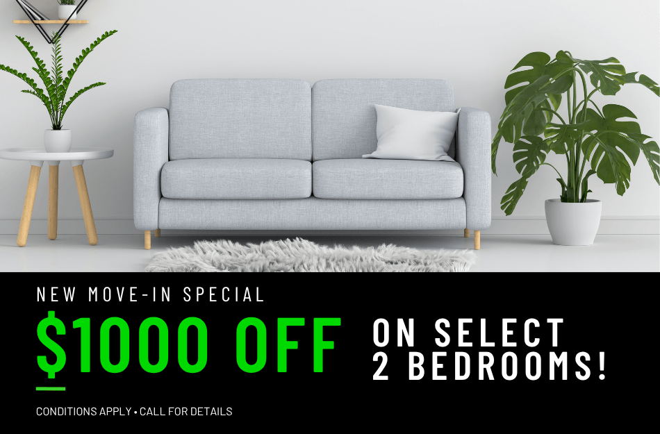  Get 6 weeks FREE on select 2 bedroom apartments. Look & Lease and receive $1000 OFF when you move in by 5/31/26. Specials are for a limited time! Conditions apply, call for details.